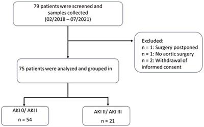 Biomarker-guided detection of acute kidney injury in abdominal aortic surgery: the new and the old